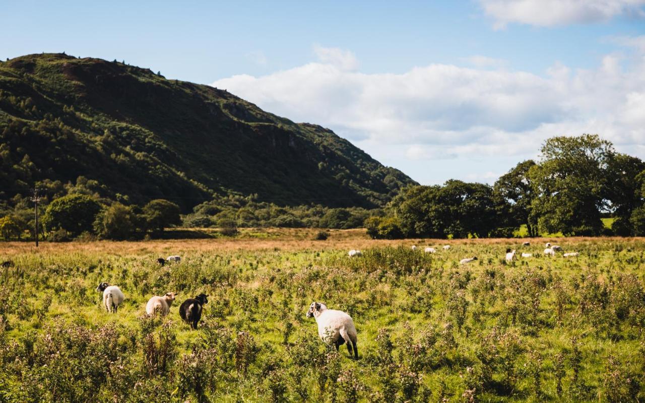 Bower House Inn Eskdale Eksteriør bilde