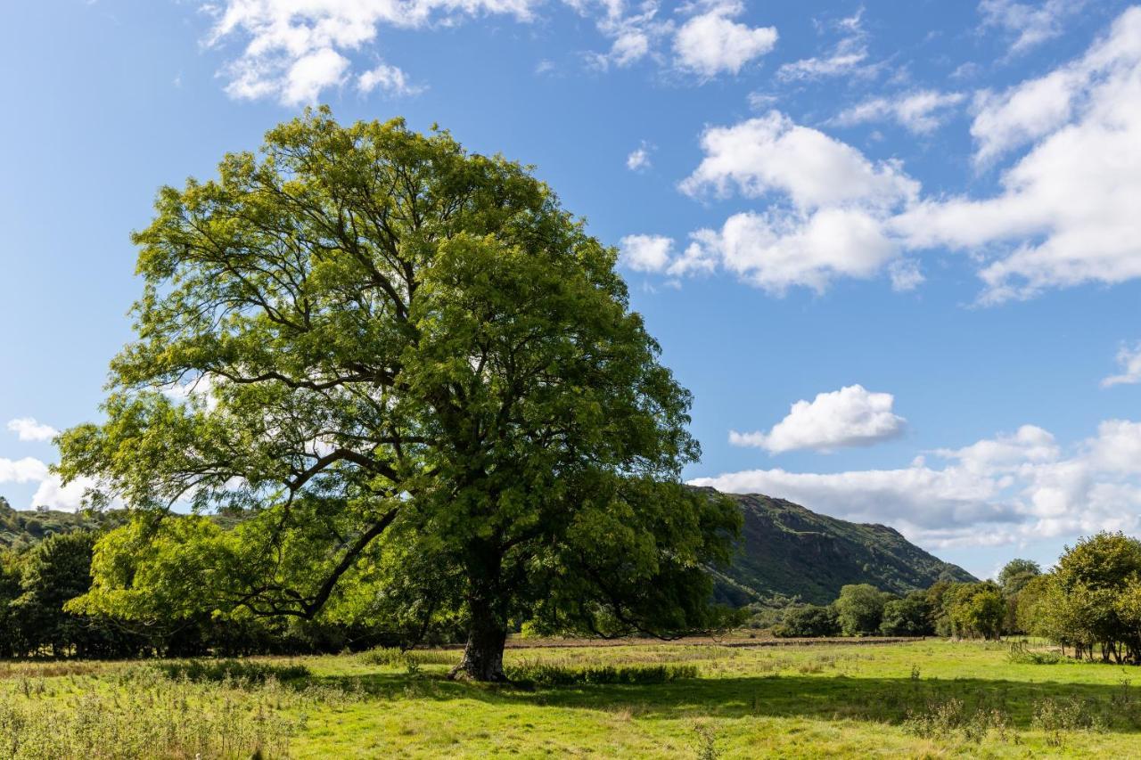 Bower House Inn Eskdale Eksteriør bilde